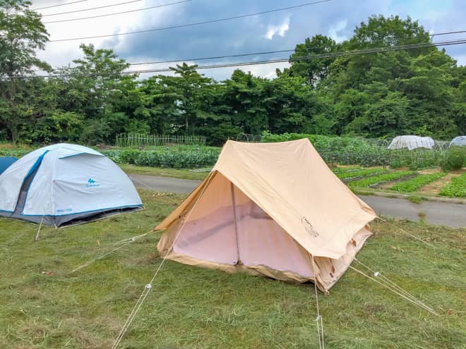 ユドゥンとケシュア