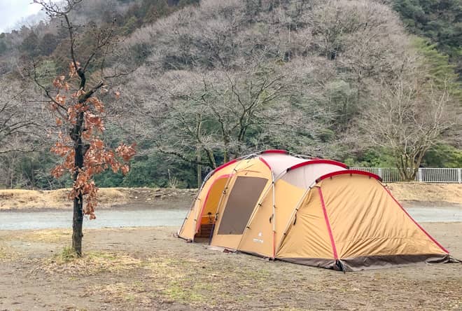 トルテュライト斜め後ろから