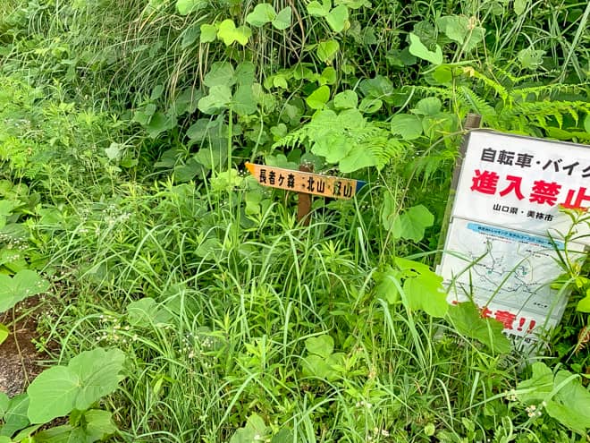 トンネルをくぐるとすぐに分岐点に到着します