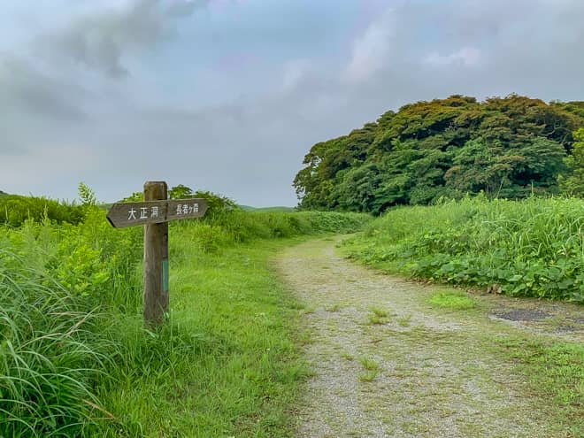 ハイキングコースは車が通ることが出来る広さがあり