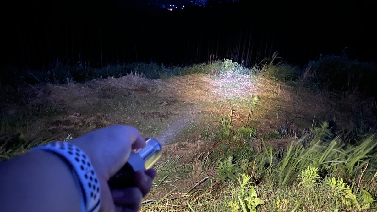 フラッシュライト最大照度-1