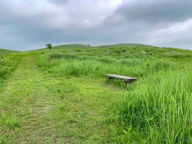 ベンチが見えてきたら良悟の松はすぐそこです