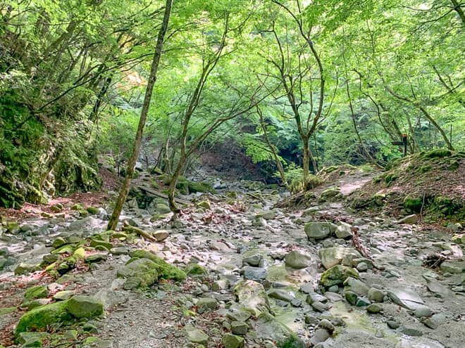 下棚沢出合から本棚(ほんだな)を寄り道する