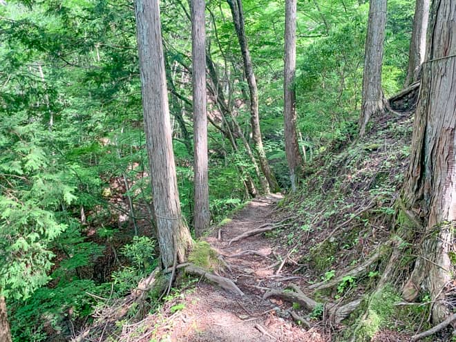 休憩スポットまでのハードな道のりではご褒美ゼロでしたが