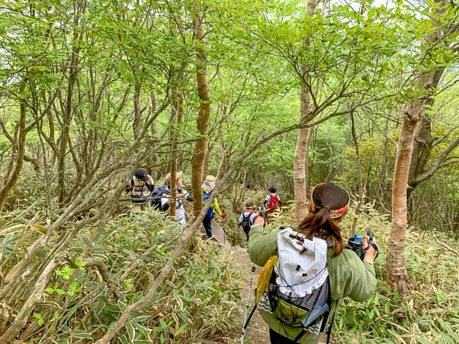 元の道に戻って