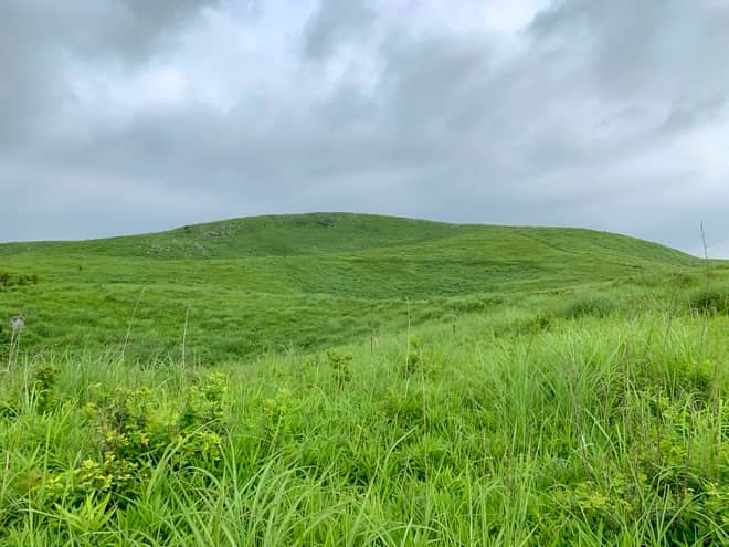 周りを見渡すと緑の丘