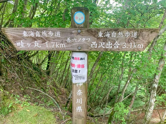 善六ノタワ→山頂まで800メートルの標識へ