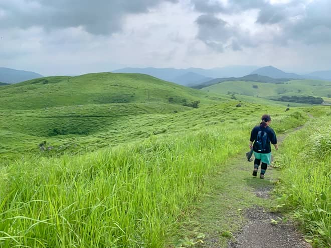 嘘のみたいに立派に整備された歩きやすい歩道からは