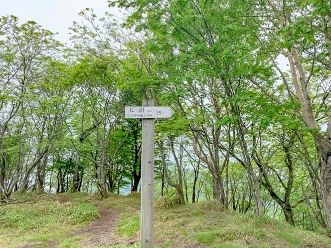 大沼分岐→駒ヶ岳登山口