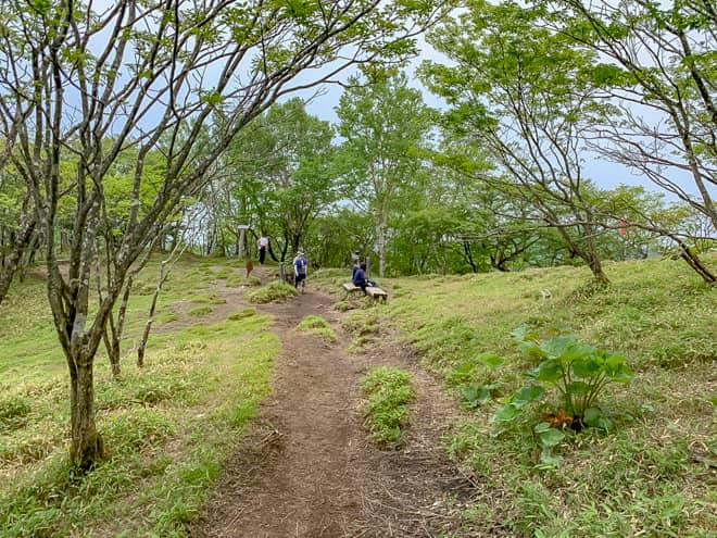 大沼分岐にはベンチがあります