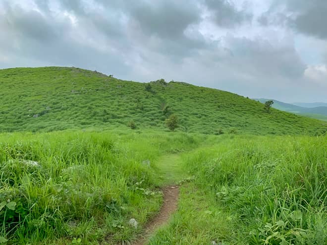 奥に見える丘が冠山でしょうか