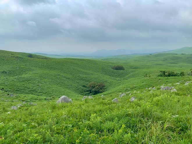 実は地獄台手前のハイキングコースの傍に