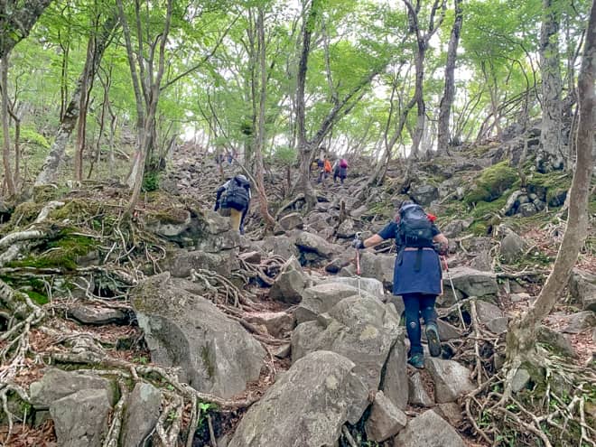 富士山スポットまで景観はゼロです