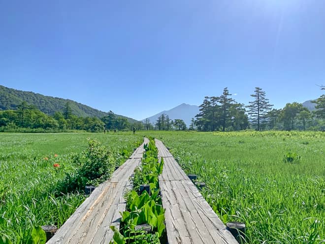 山の鼻のすぐ先は尾瀬を代表する
