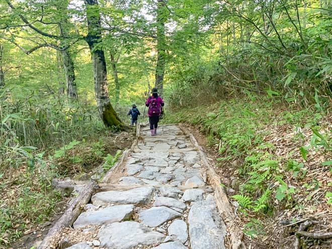 山の鼻までは下りが続きます