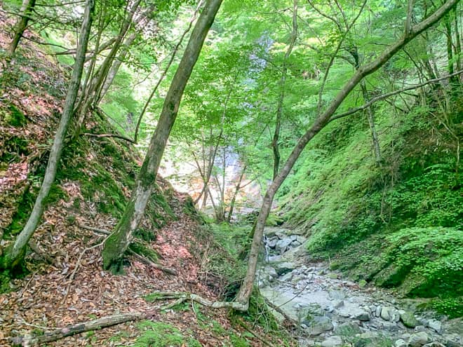 岩だらけの沢を進んでいくと滝が見えてきました