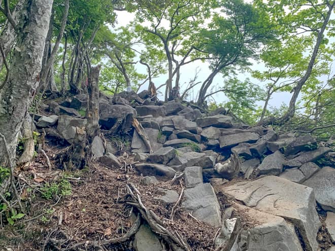 岩場を登り切った先に3番標識が見えてきました。