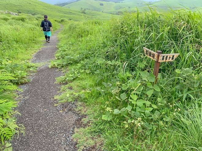 帰り道も分岐だらけです