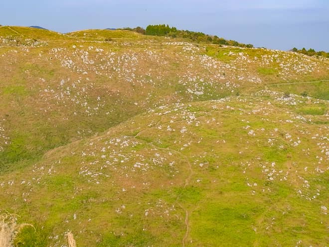 広大な草原には石灰岩が侵食されて出来た