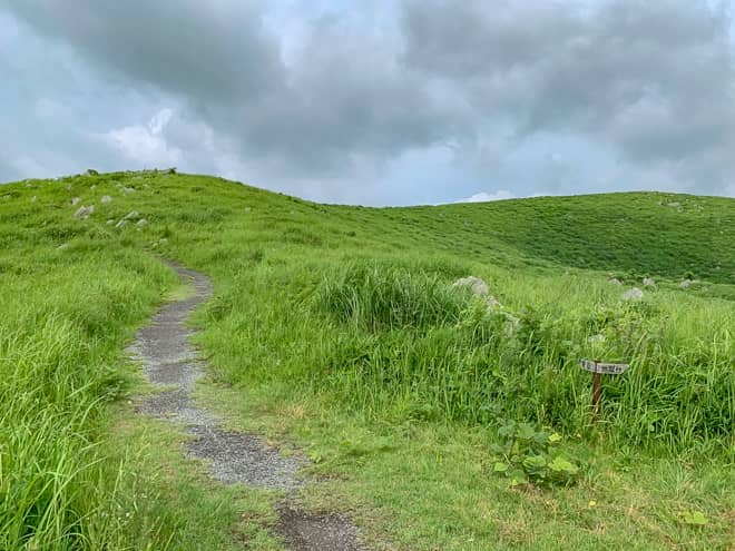 後ろを振り返ると冠山が見えます
