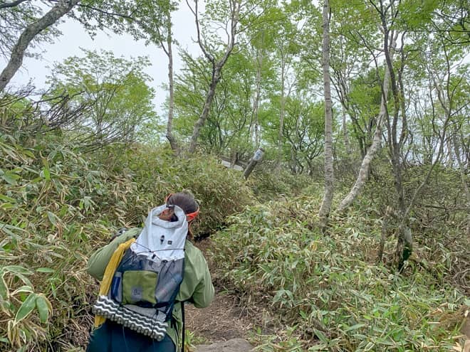 心を無にして登り続けると