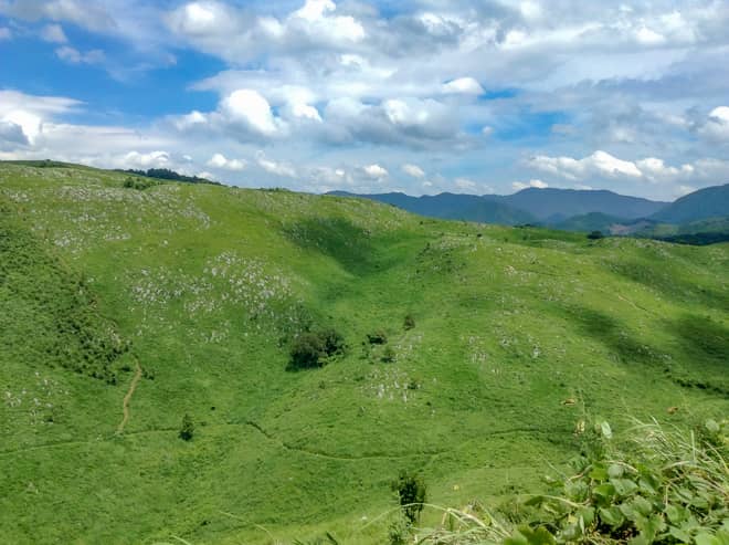 日本最大のカルスト台地「秋吉台（あきよしだい）」
