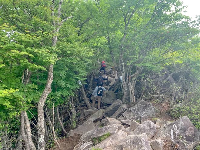 景色の良いポイントの先は樹林帯の急登の岩場が続きます
