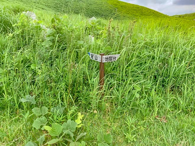 暫く歩くと、また分岐です