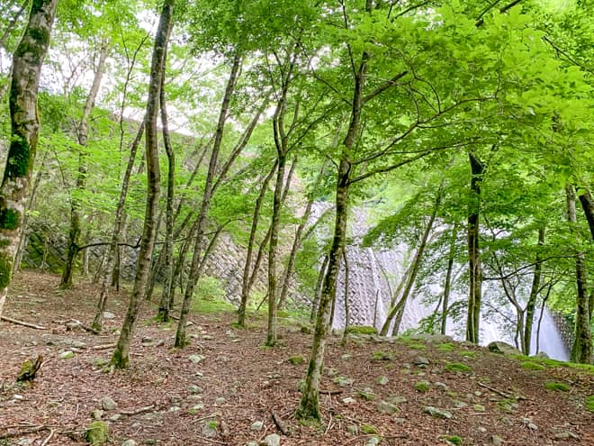 暫く歩くと河川の流水を制御するための堰
