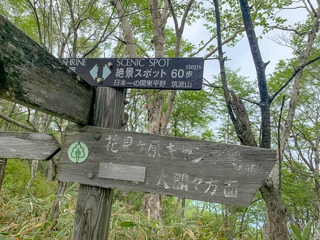 更に先を進むと分岐に到着します