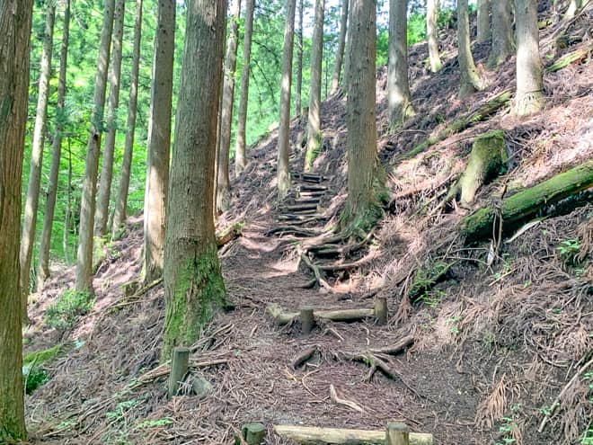 最後の枯沢を横断したところで