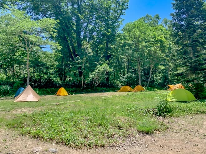 木々に囲まれているので開放感はありませんが