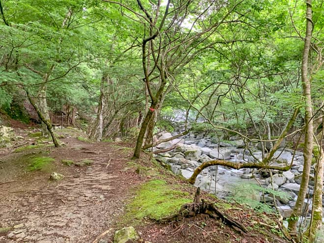 木漏れ日の気持ち良い、沢沿いの緩やかな登山道