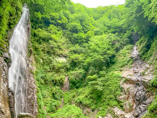 本棚と幻の涸棚をダブルで拝めるという