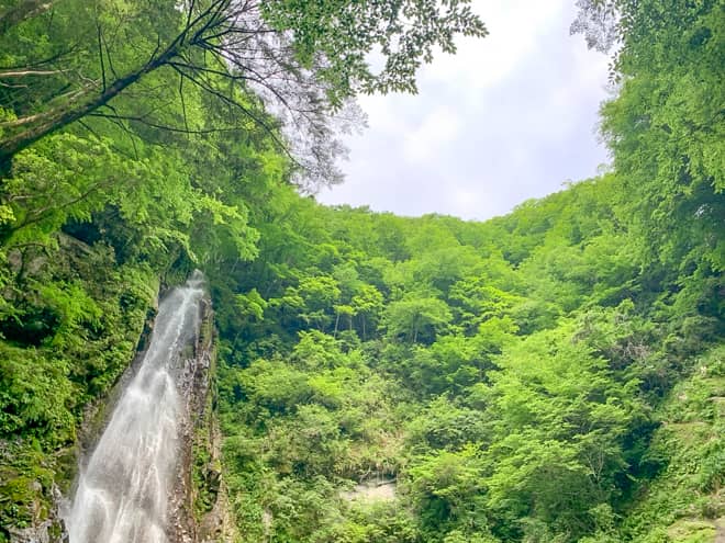 本棚の落差はなんと60メートルもあり