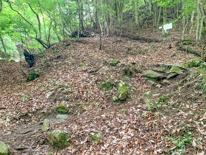 本棚沢出合からは案内板が極端に少なくなり