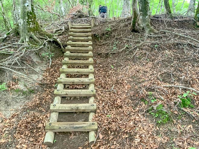 梯子も断続的に続いたりと、想像以上にハードでした