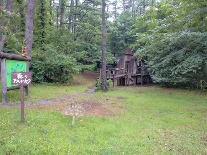 森のアスレチック