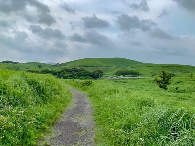 歩きやすい道をゆっくり下っていくと駐車場が見えてきました