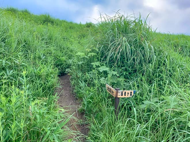 段々と狭くなる道を進むと