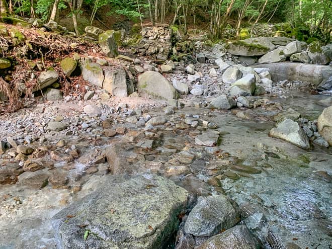 沢の水は大変透明感があり