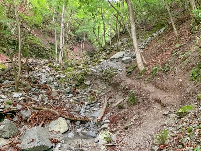 沢沿いを歩くも段々と水が無くなり