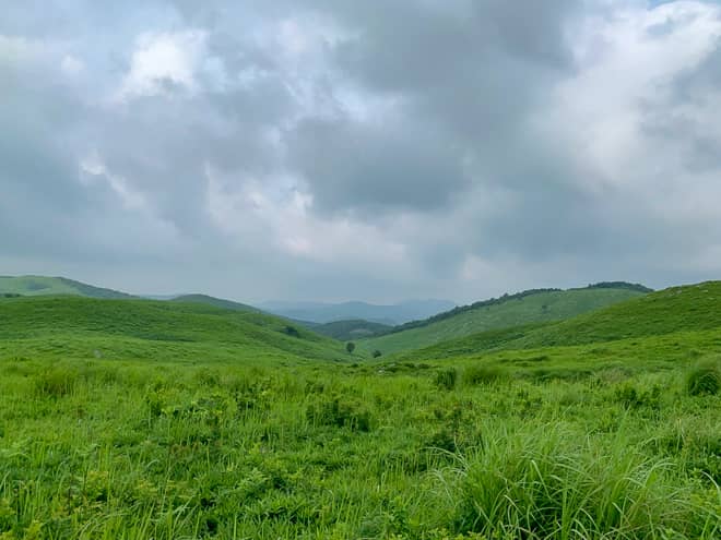 流石に真夏だと一面草が生い茂っています