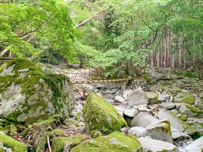 渓流歩きは水辺ということもあり涼しくて気持ちの良い道のりです