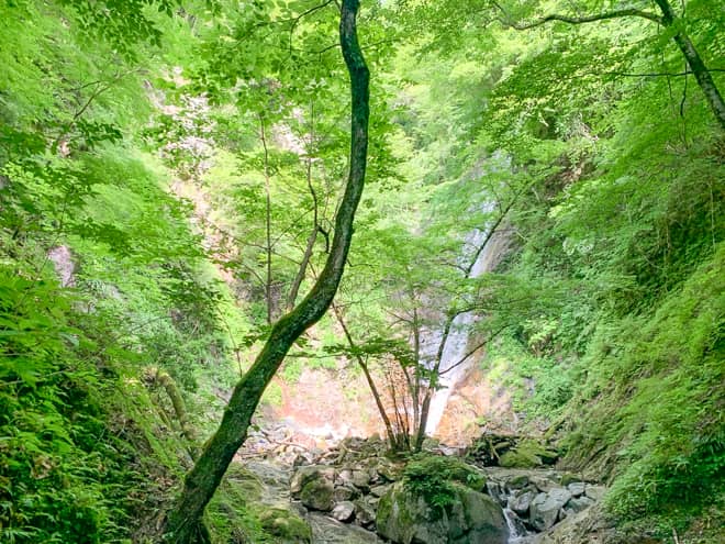 滝の先は行き止まりで、断崖絶壁の崖に囲まれた