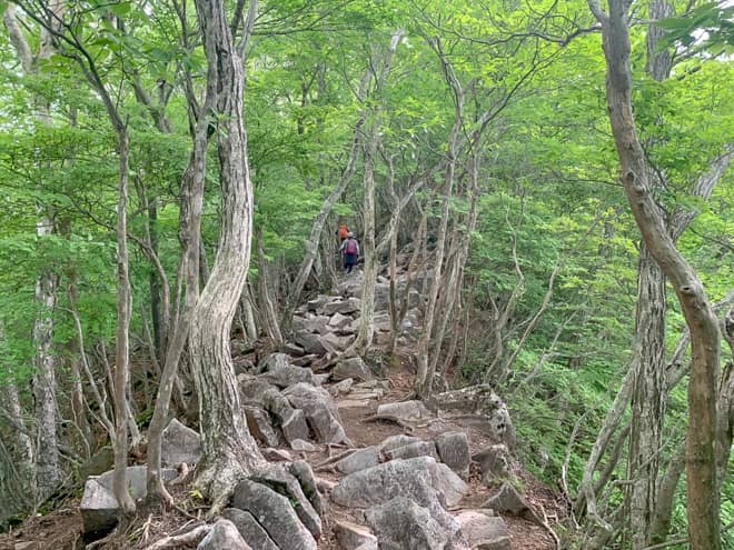 猫岩→富士山の標識