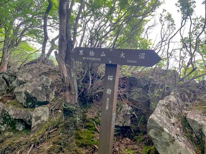 猫岩に到着です。