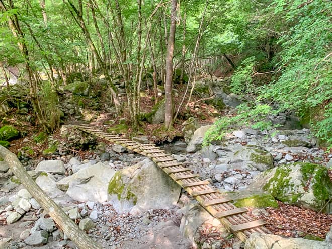 畦ヶ丸の渓流歩きは沢をジグザグに渡りながら