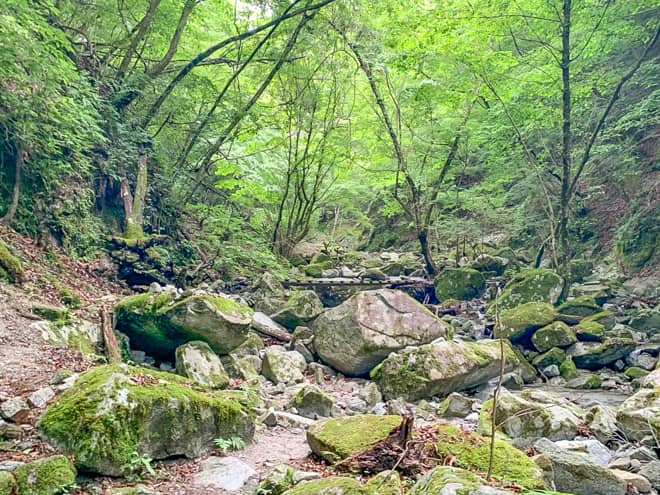 畦ヶ丸は思った以上に登山者が居なく