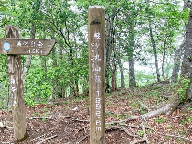 畦ヶ丸山頂です。標高1,239メートル